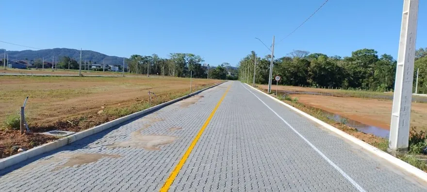 Rua pavimentada do Loteamento Cidade Jardim I com linha amarela no centro e postes.